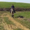 rita a cavallo2